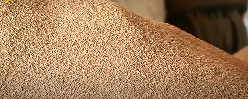 Hueso de Aceituna Triturado